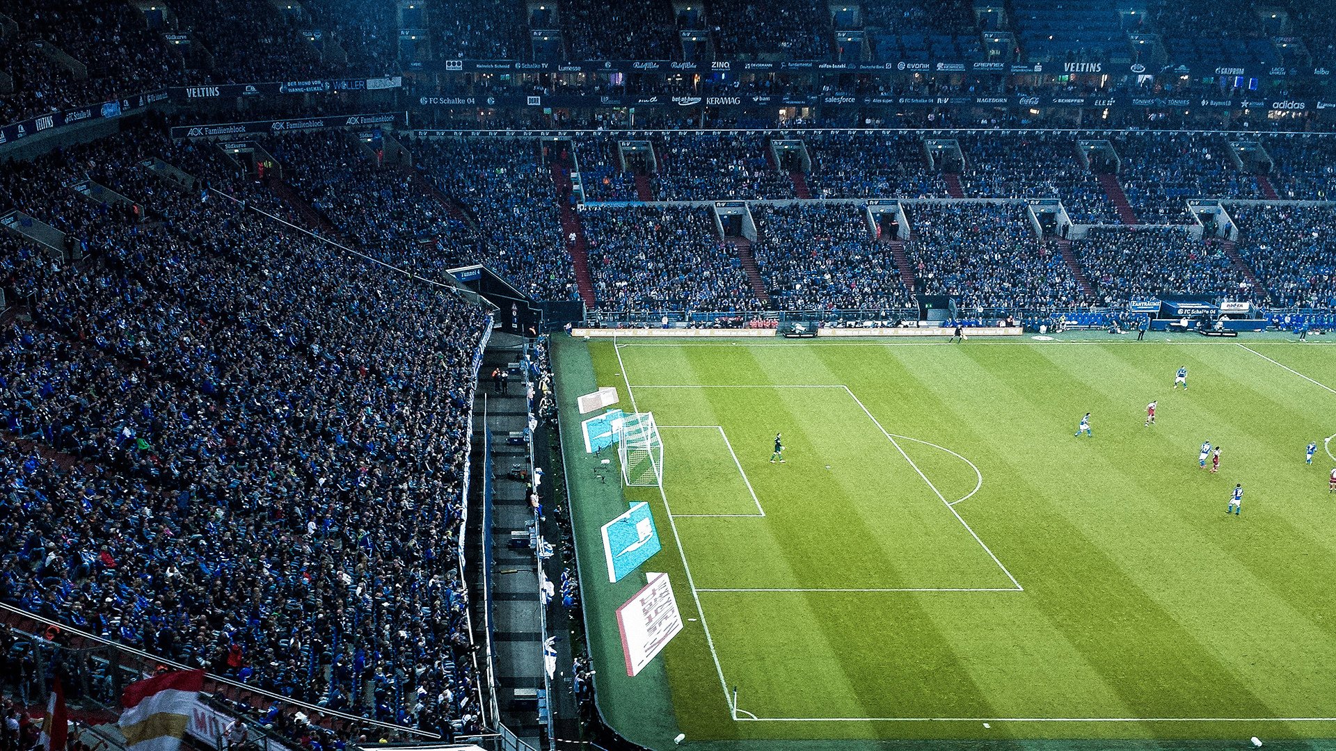 体育焦点新闻速递