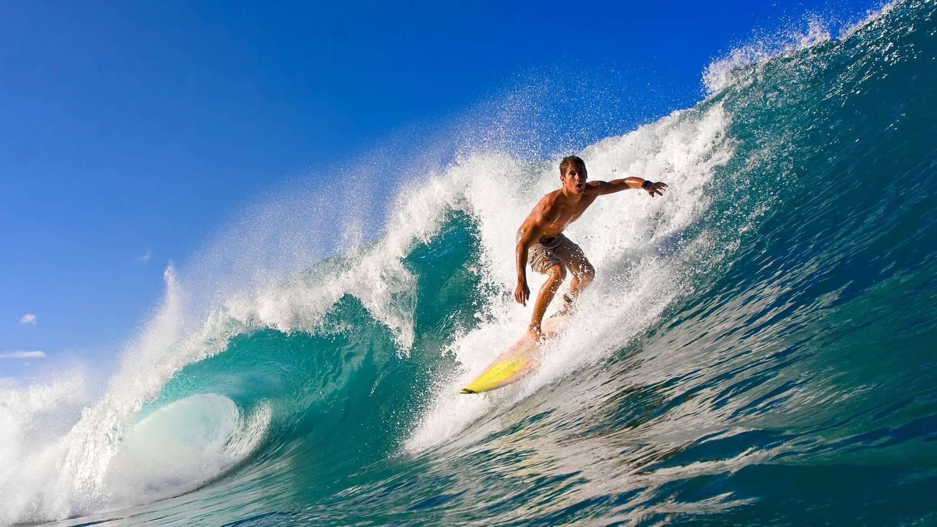 综合体育系“体训日志评优赛” 记录训练点滴成为习惯